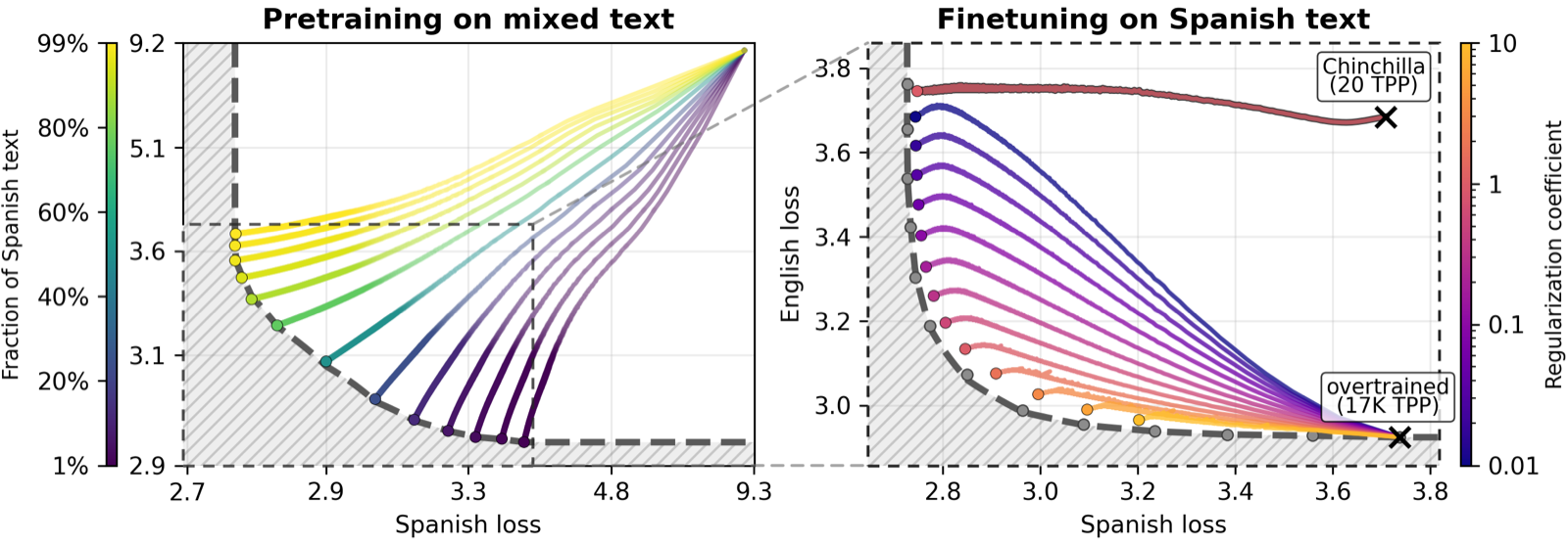Forgetting in Language Models: Capacity, Optimization, and Self-Generated Replay
