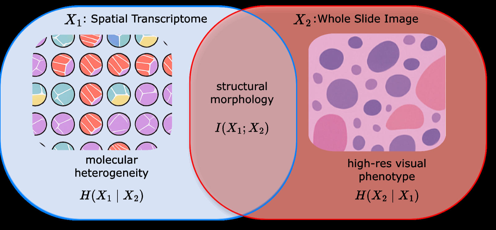 RePercENT: Scaling Disentangled Representation Learning Beyond Two Modalities