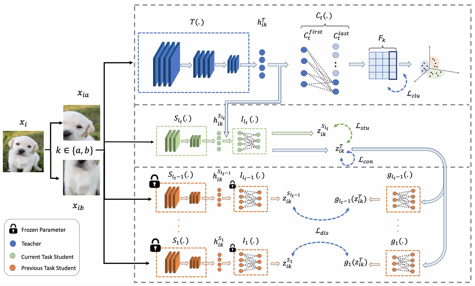 Unsupervised Continual Clustering via Forward-Backward Knowledge Distillation