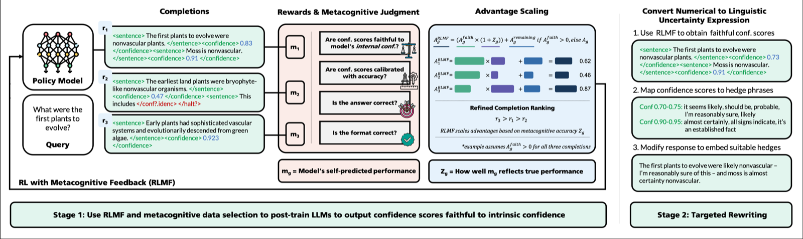 Reinforcement Learning with Metacognitive Feedback Elicits Faithful Uncertainty Expression in LLMs
